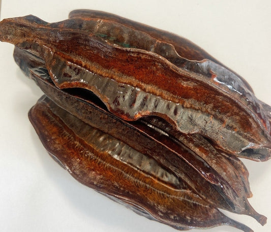 Prekese / Aidan Fruit / Tetrapleura tetraplera / 10 pieces / Uyayak / Uhio / Aidan fruit powder /  Ghana