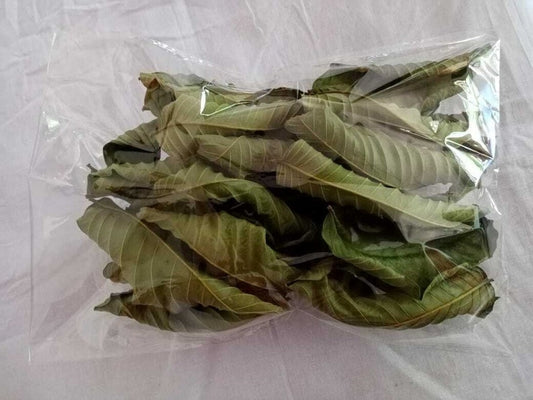 100% Organic Guava Leaves Fresh Green Dried Psidium Guajava Leaf Best Natural Herbal Guava Tea