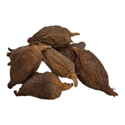 Native Aligator Pepper 10 piece
