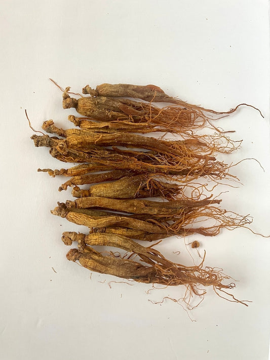 Red Ginseng Root | Big Red Ginseng | Whole Panax Ginseng | Big Ginseng | Whole Root of Ginseng | Organic Panax Ginseng | Vitality Supplement