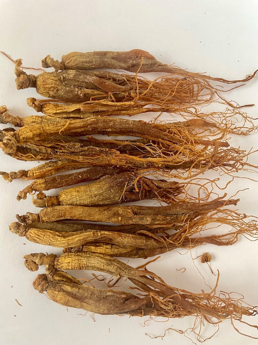 Red Ginseng Root | Big Red Ginseng | Whole Panax Ginseng | Big Ginseng | Whole Root of Ginseng | Organic Panax Ginseng | Vitality Supplement
