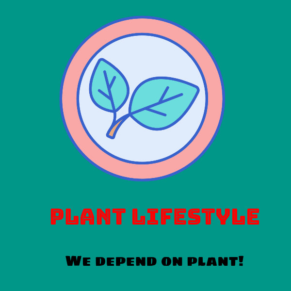 PLANT LIFESTYLES